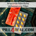Anaconda Männliche Verbesserung Pillen new01